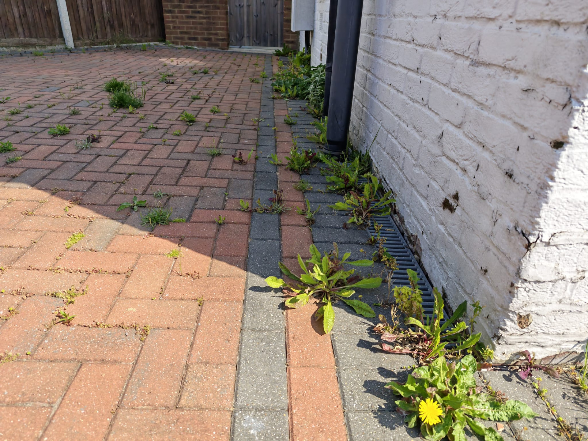 Weeds growing through block paving beside a property before cleaning