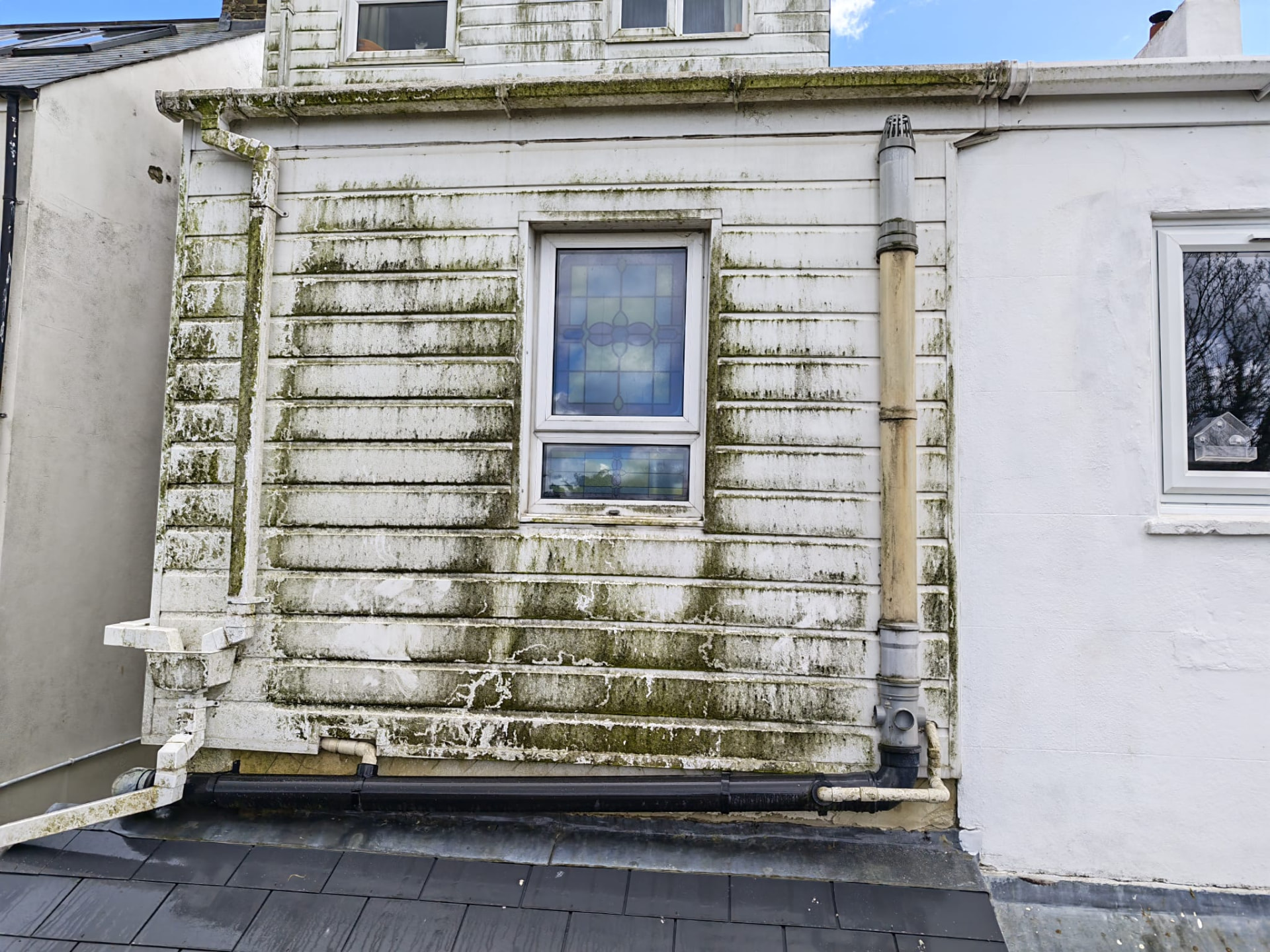 Algae-covered exterior cladding before cleaning by OOR External